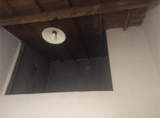Caca Tipo Chalet