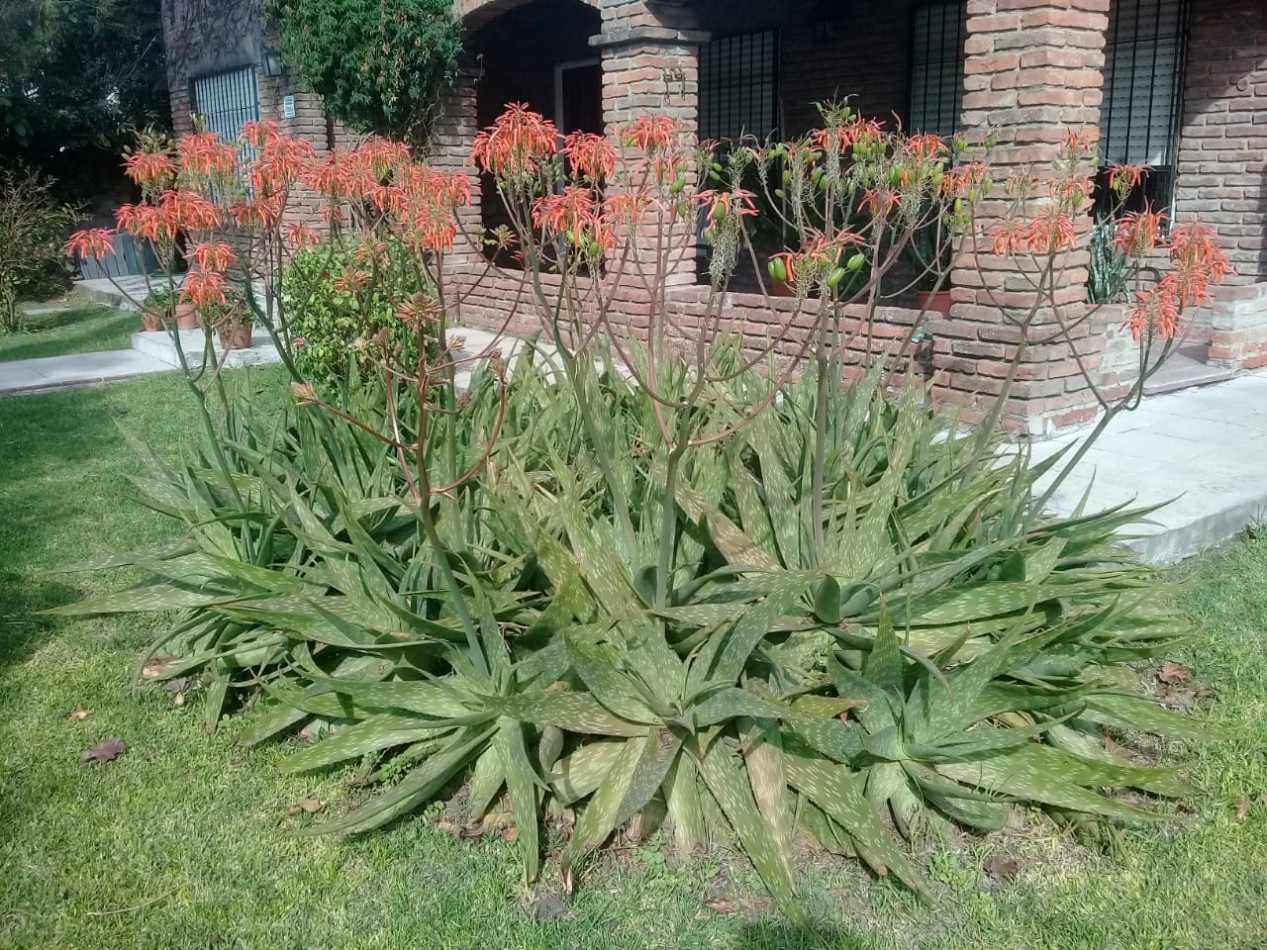 Casa Quinta